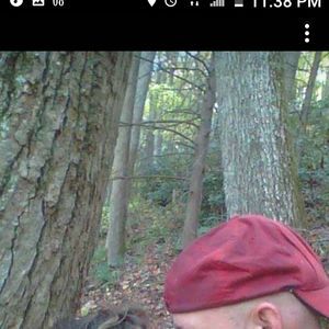 Meet your Posher, Lindsey david